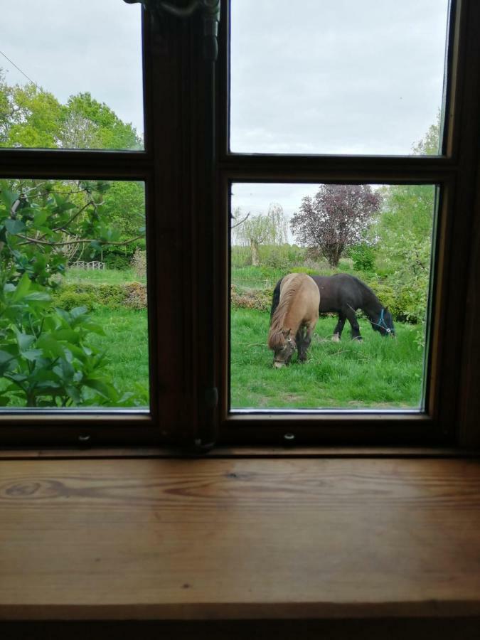 Ferienwohnung Warderhof Sandstedt Eksteriør billede